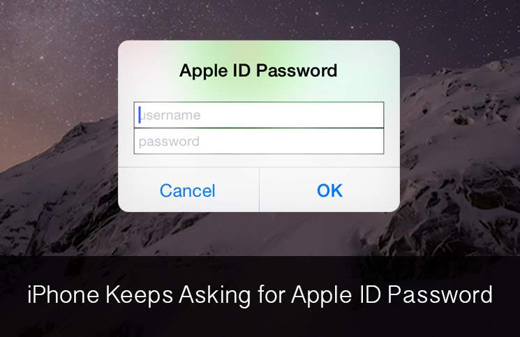 Mac app store keeps prompting for password